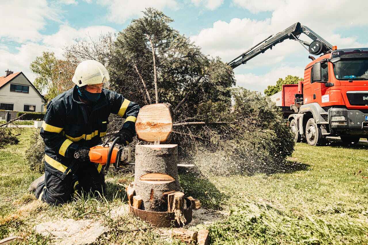 Best Best Tree Removal Services  in Fort Leonard Wood, MO